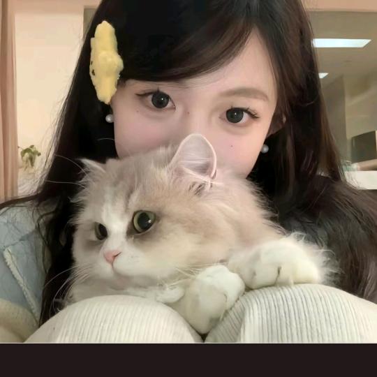 小雨💫头像