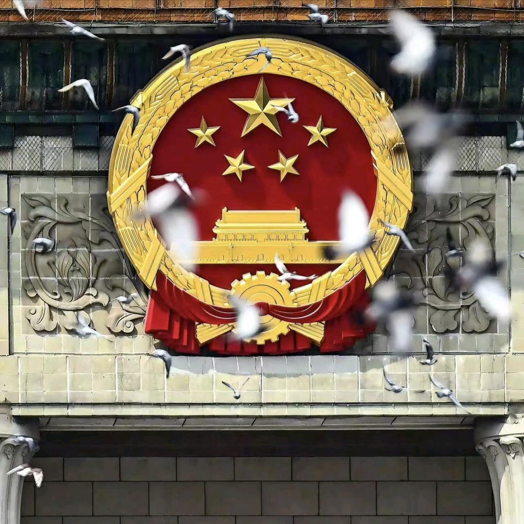 没哥帅就闭麦