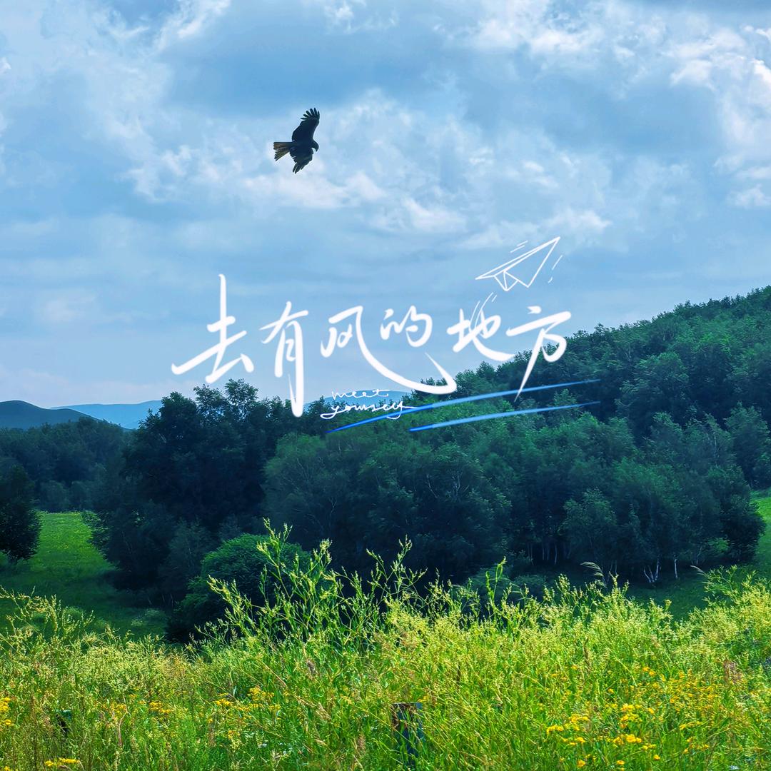 日照凹陷修复PDR🛠世杰