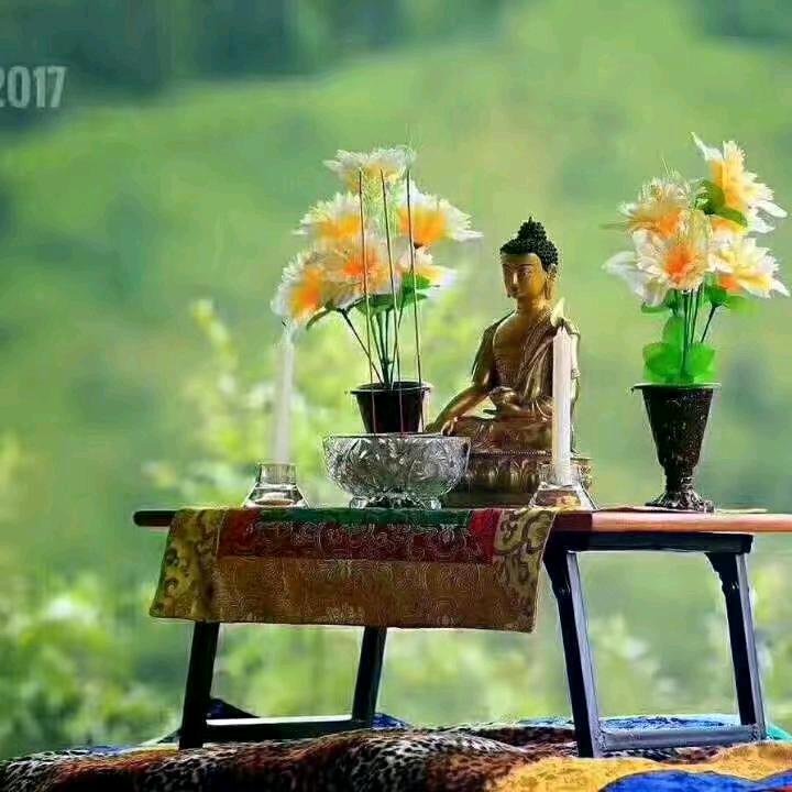 拉姆  🍀
