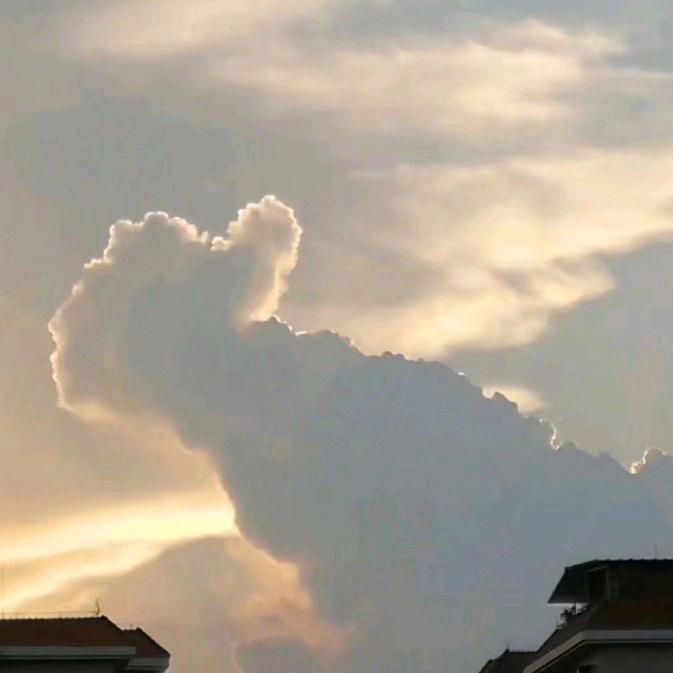 海绵宝宝和派大星是永远的朋友💞