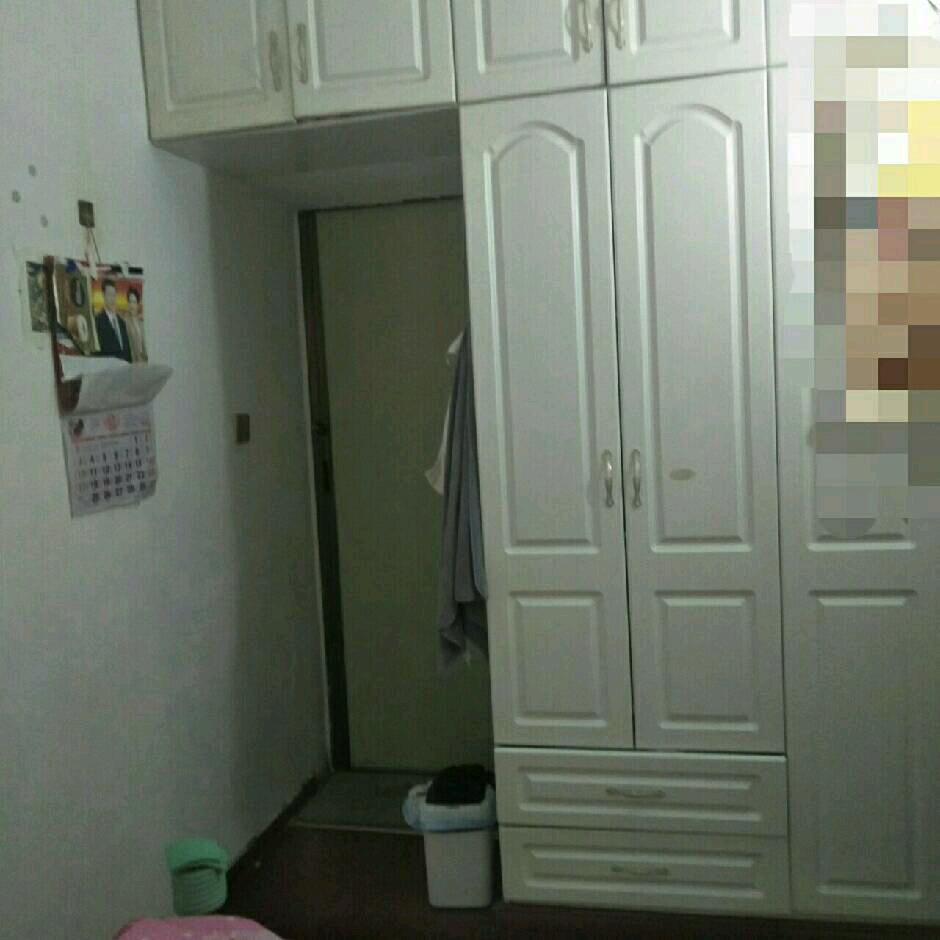 窦文静