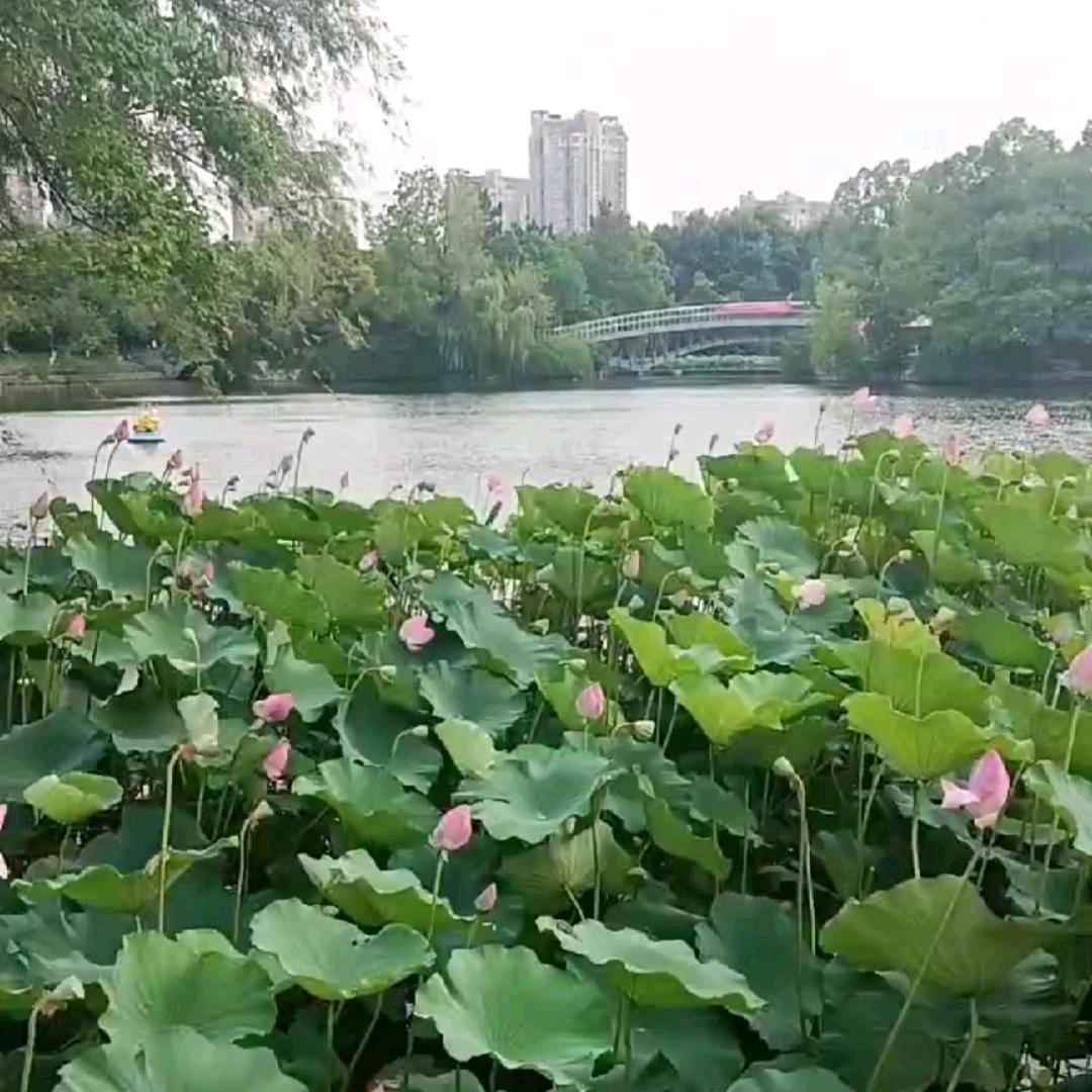 珍惜YP