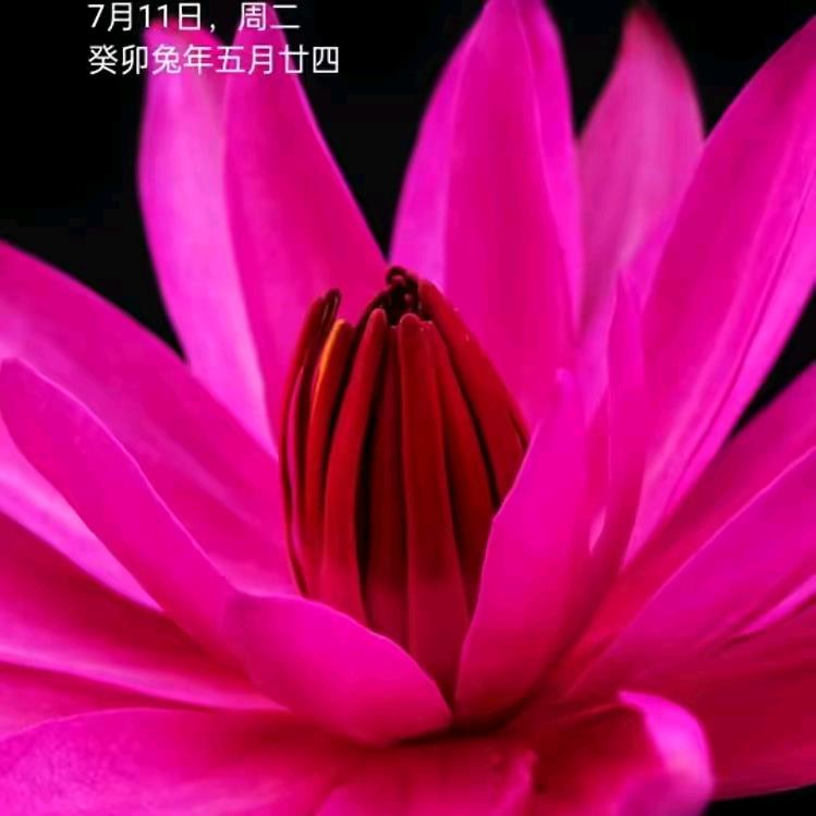 出入平安