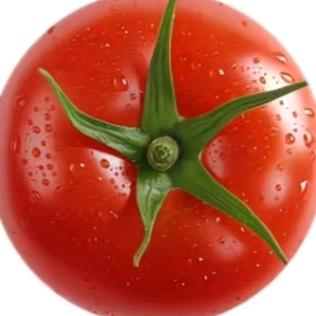 买280米空气淹死自己