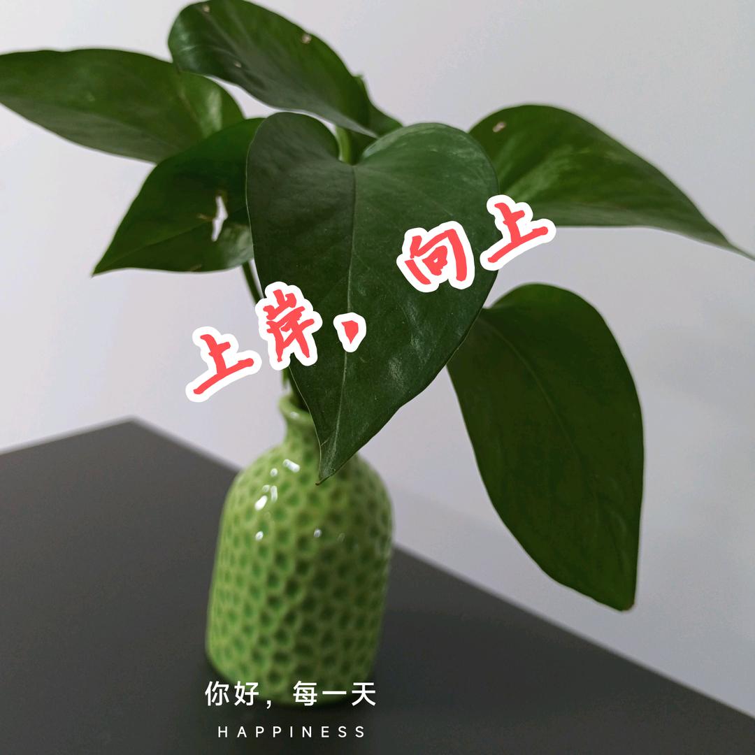 信宜匠人教育赖老师