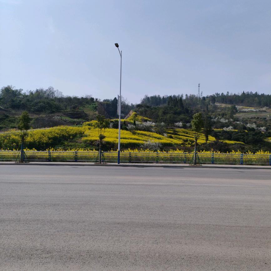 🐇🌸🌸余生好好爱自🌻🌻