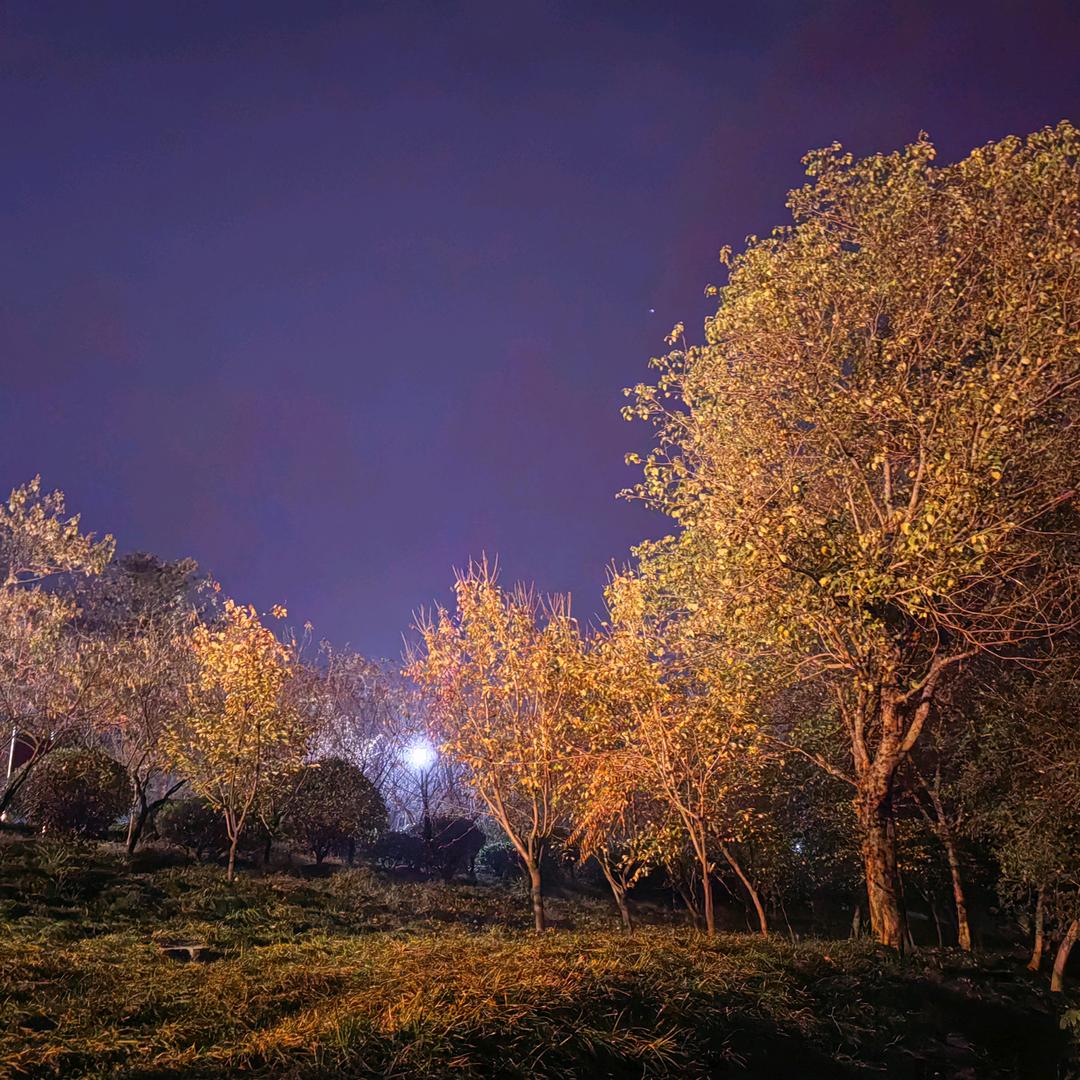 明珠私房手工水饺馄饨