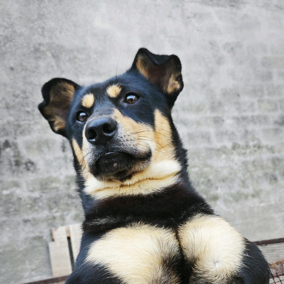 老六是社恐