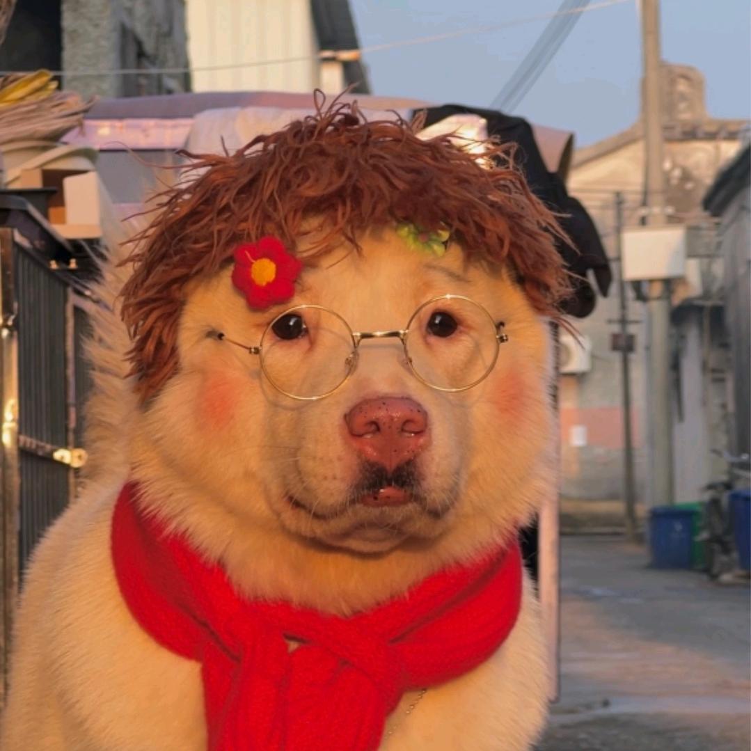 运』