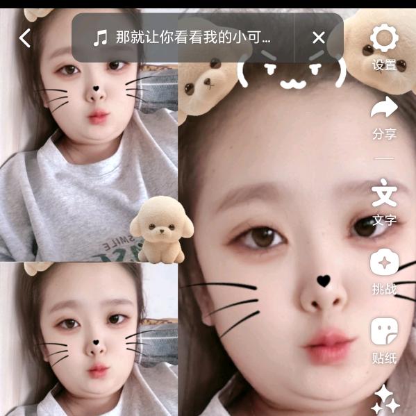 大萱2萱