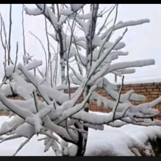 笑着回忆人生。