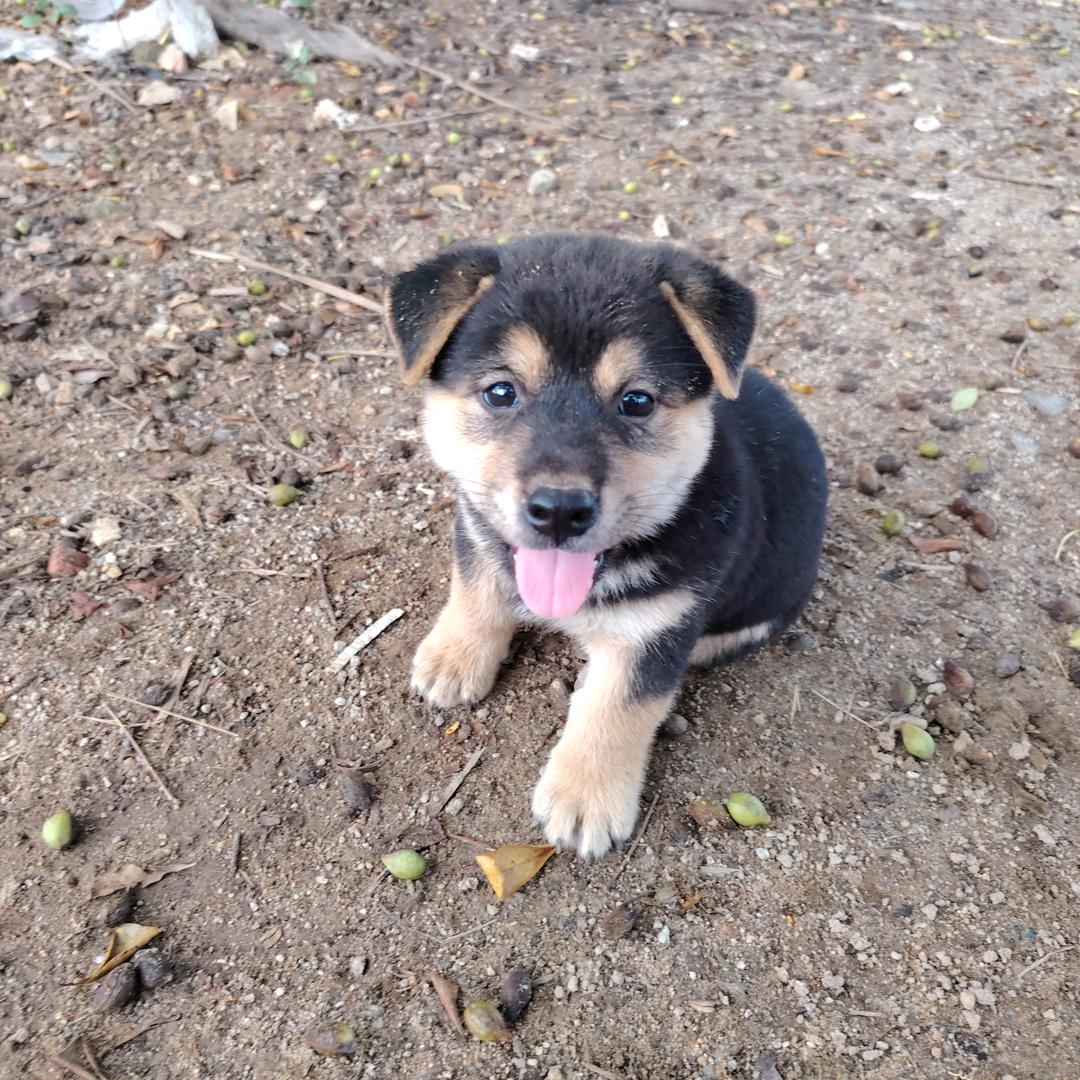 🛳~大船洋∽🚢