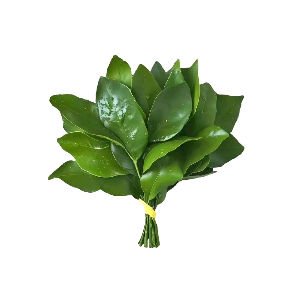 今喜