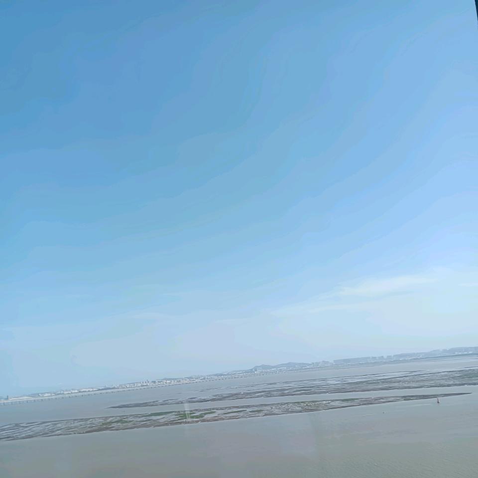 小洋精选