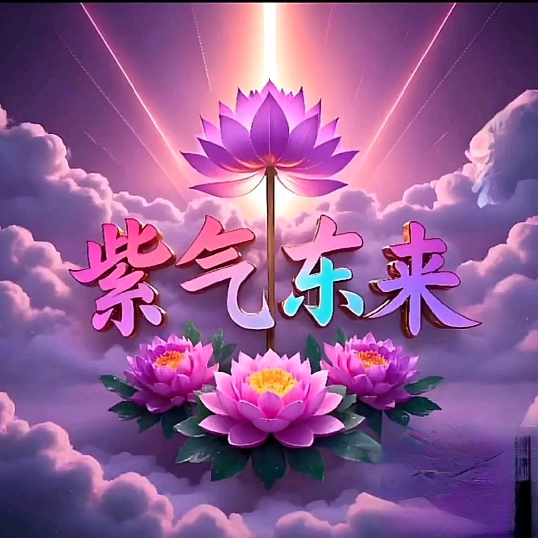 清禾姐