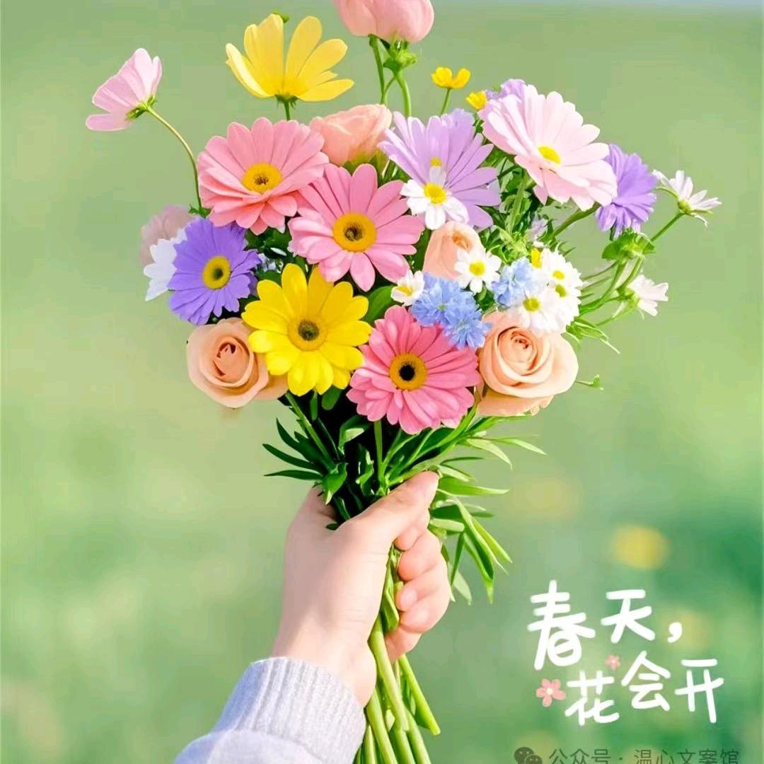 小草莓🍓🍓