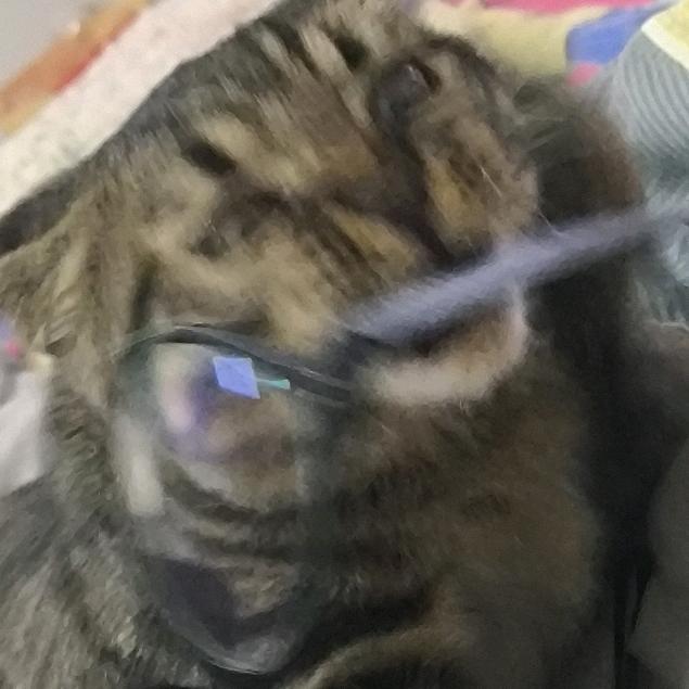 番茄烩土豆