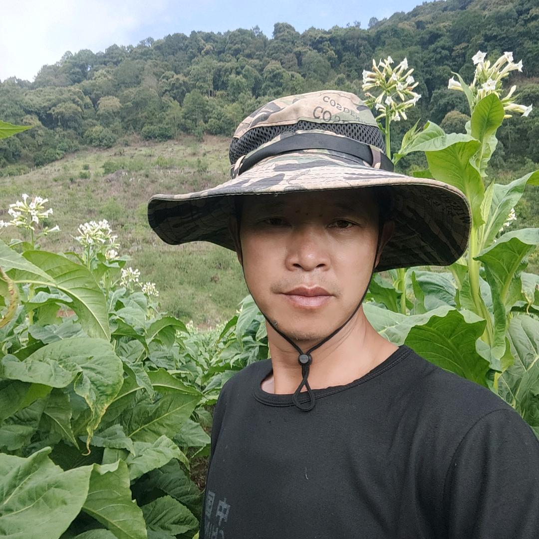 用户从头再来的老师机