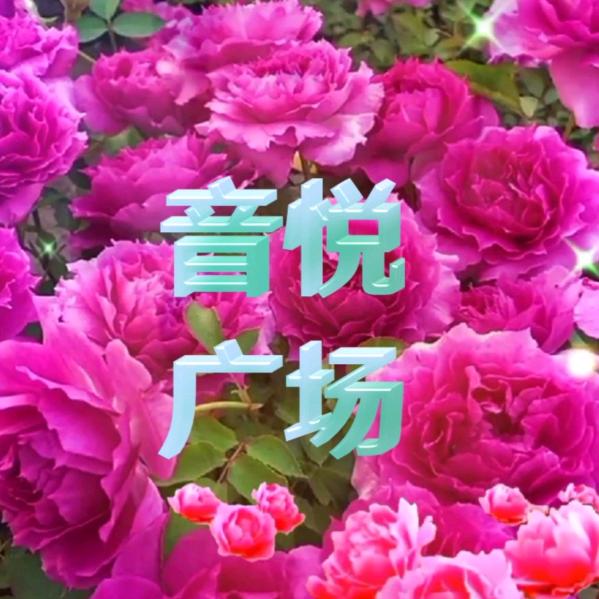 音悦广场