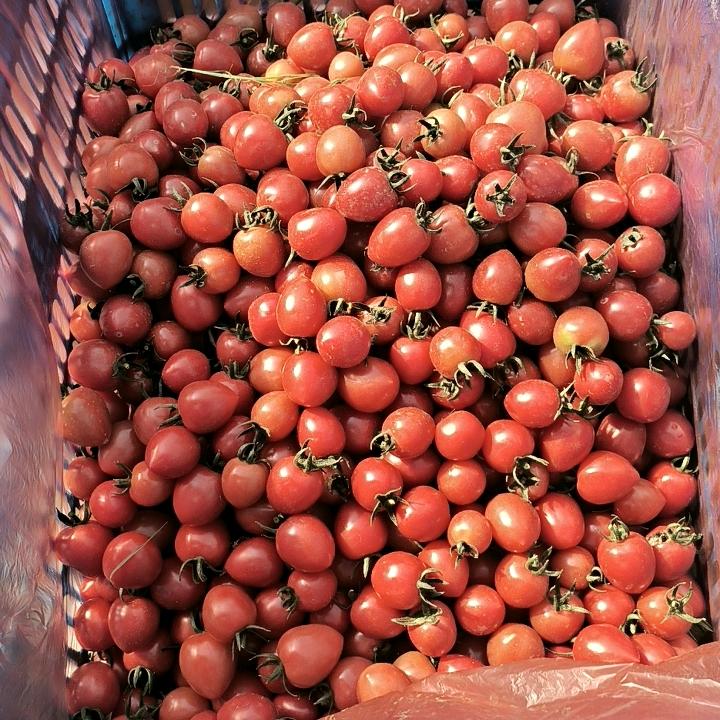 AAAA蔬菜批发王哥