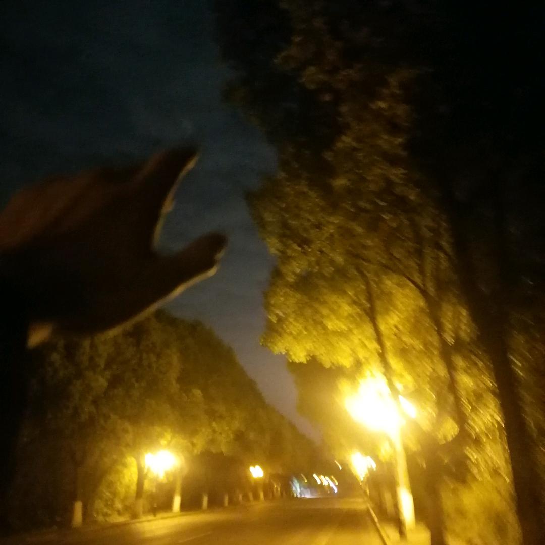 张昱其