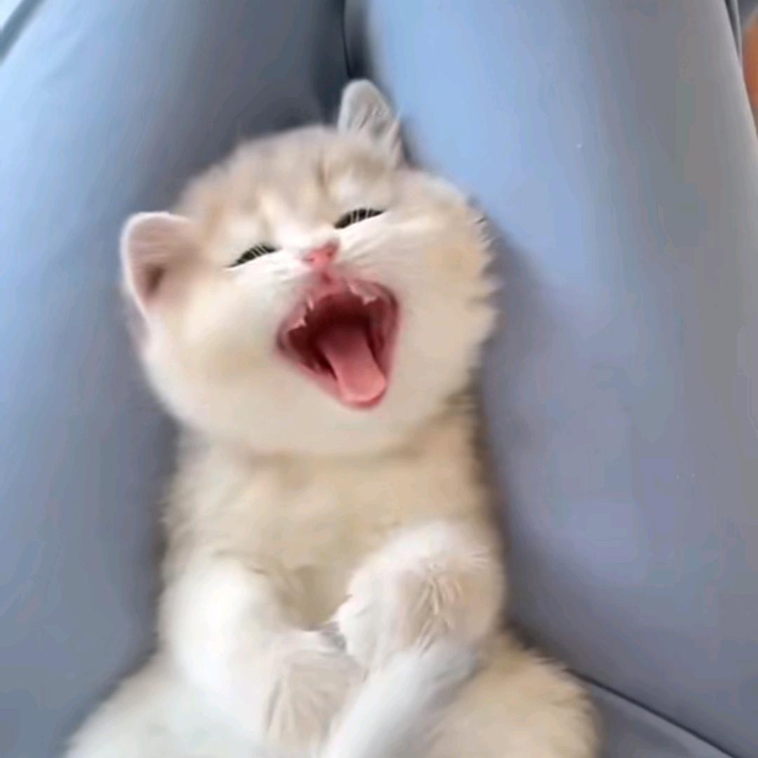 小玥淇🌸头像
