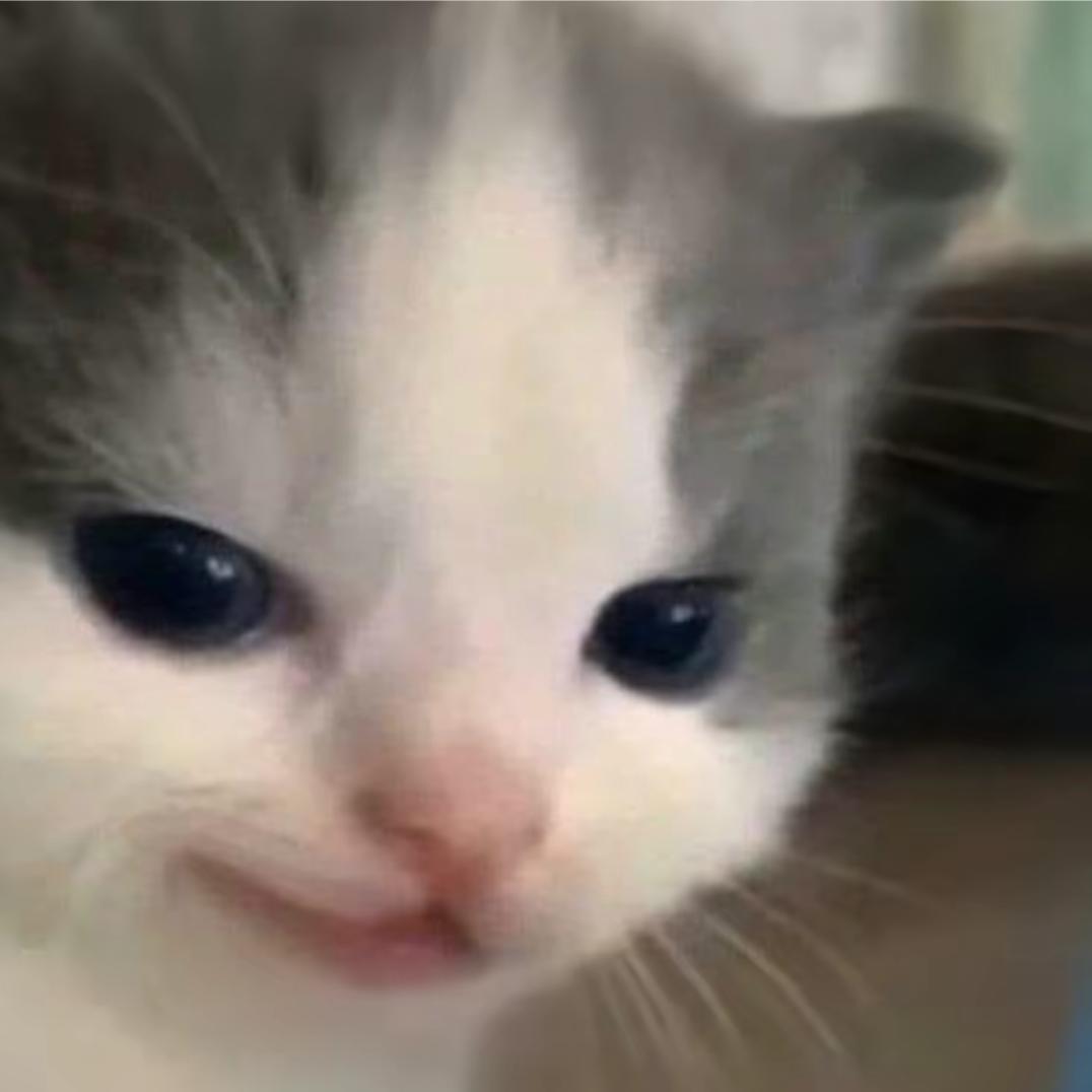 那天我🐍的很高只为遮着眼角的泪