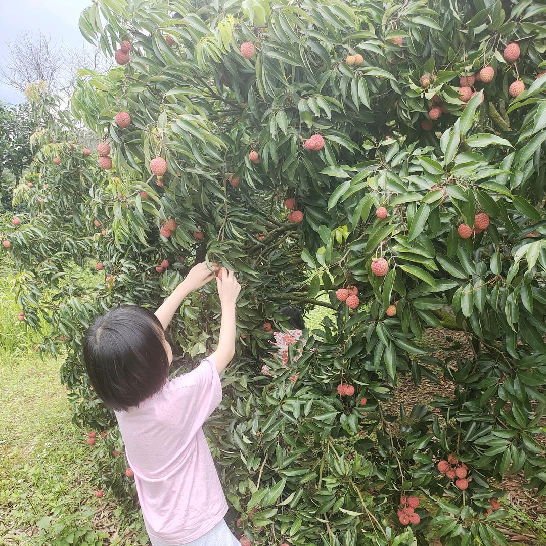 又菜又爱玩