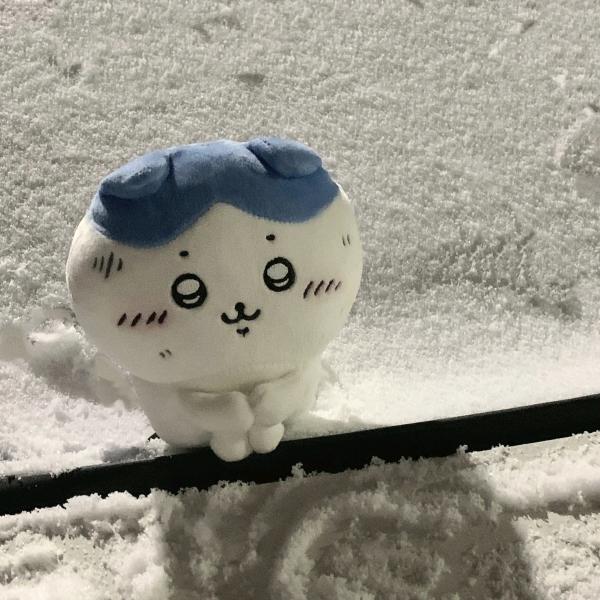 小1