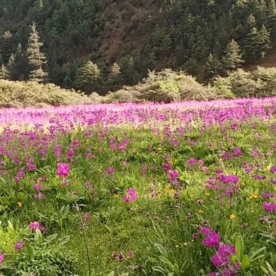 会理林润水业有限公司