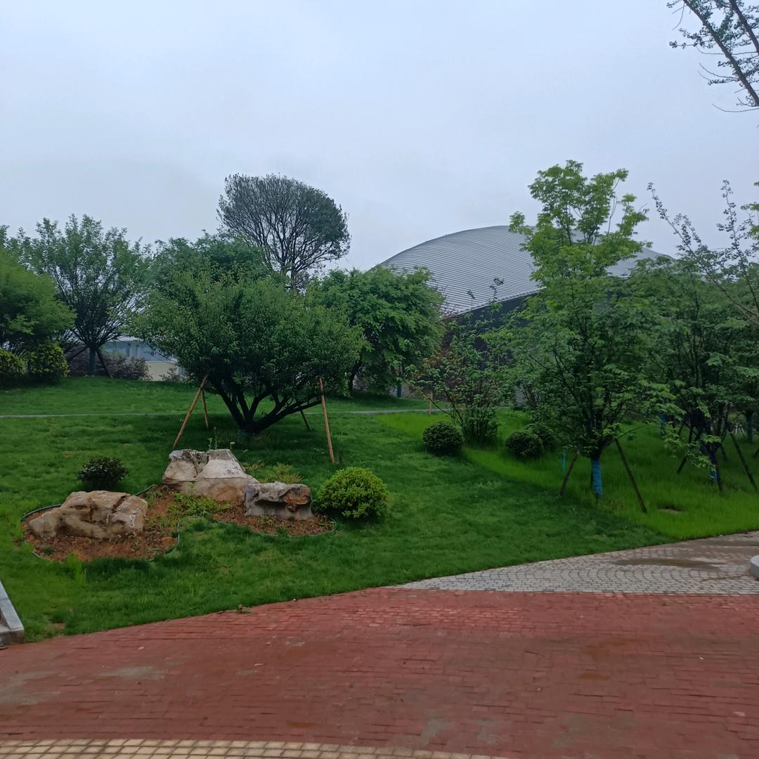 军