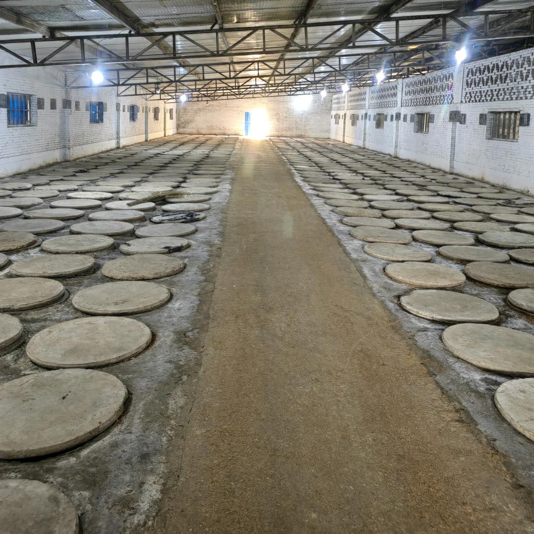 专注杏花村高品质散酒— 九妹