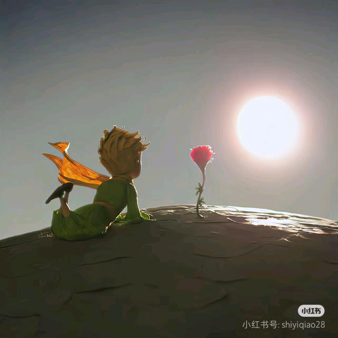磊磊宠物美容培训