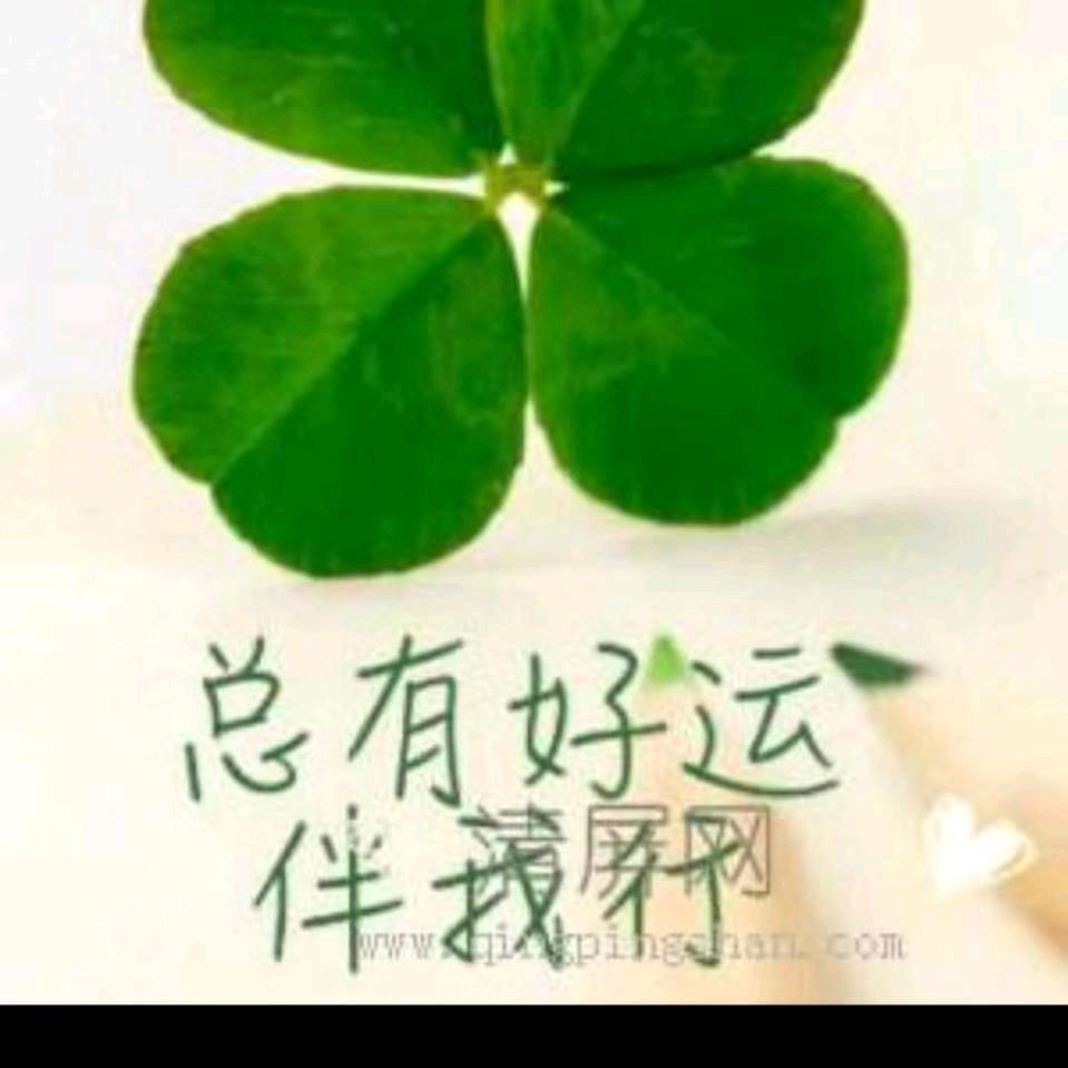 欢乐小汪汪