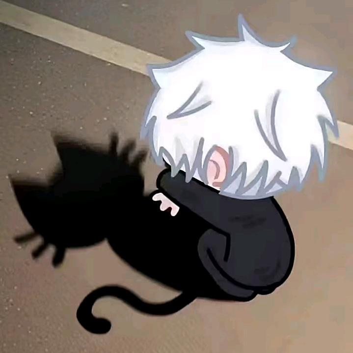猫猫头