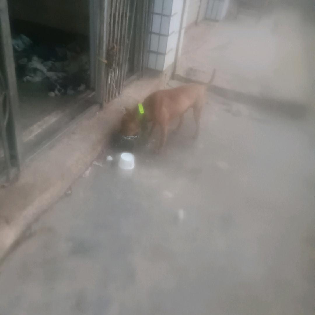 细水长流