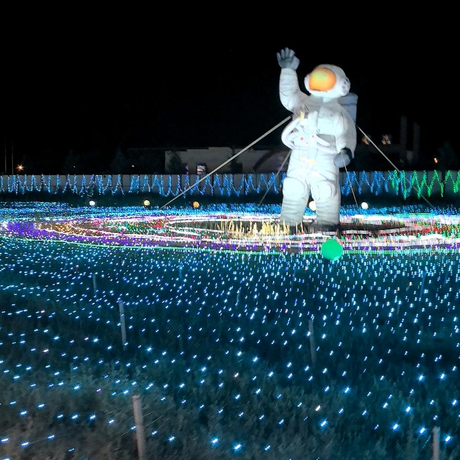 丁丁（精致穿搭）