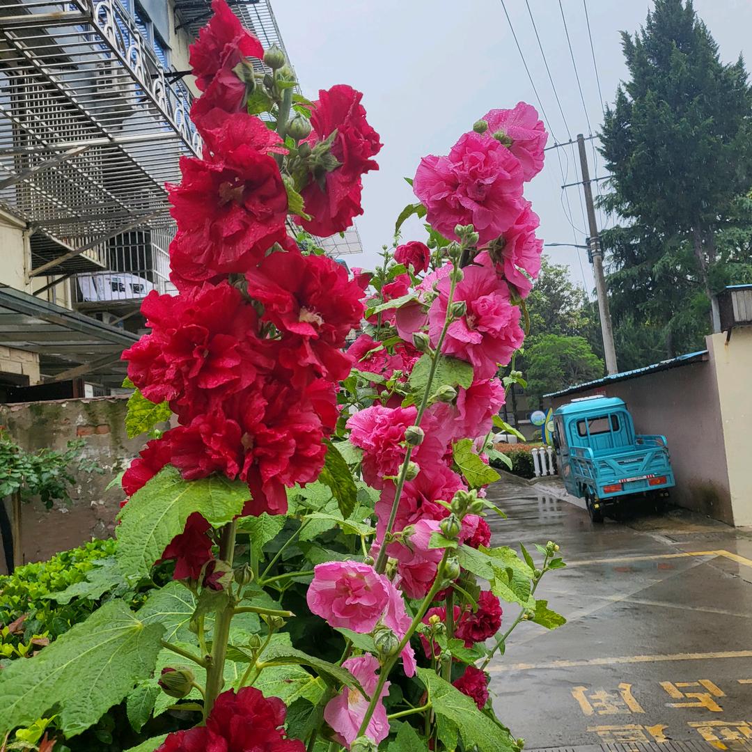 @开开心心每一天