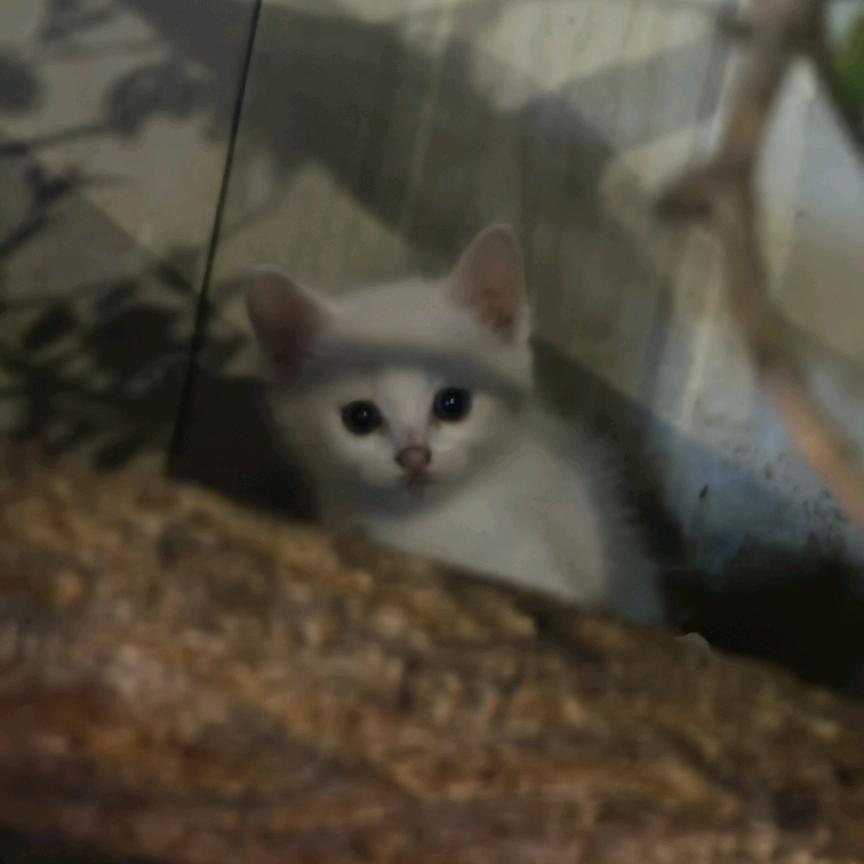 AAA建材王哥