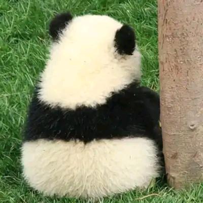 沐若清辰😊☺️😗