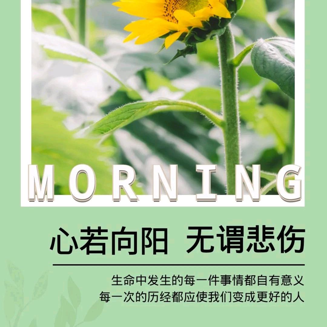 苗苗🌻
