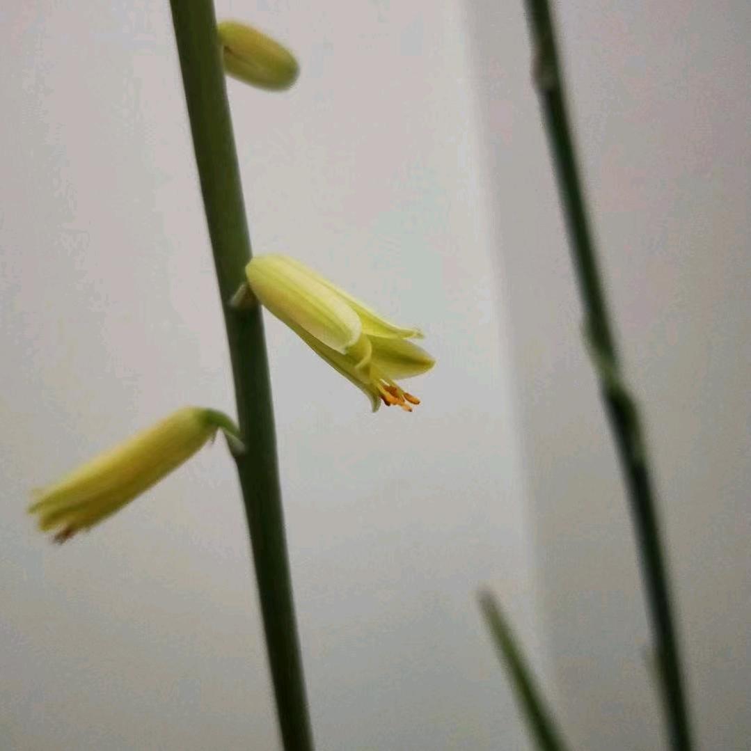珍惜(音乐分享)