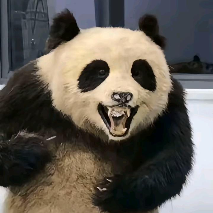 乘风