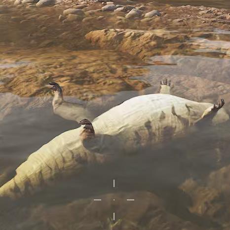 Zz（三角洲跑刀/33/部门等）