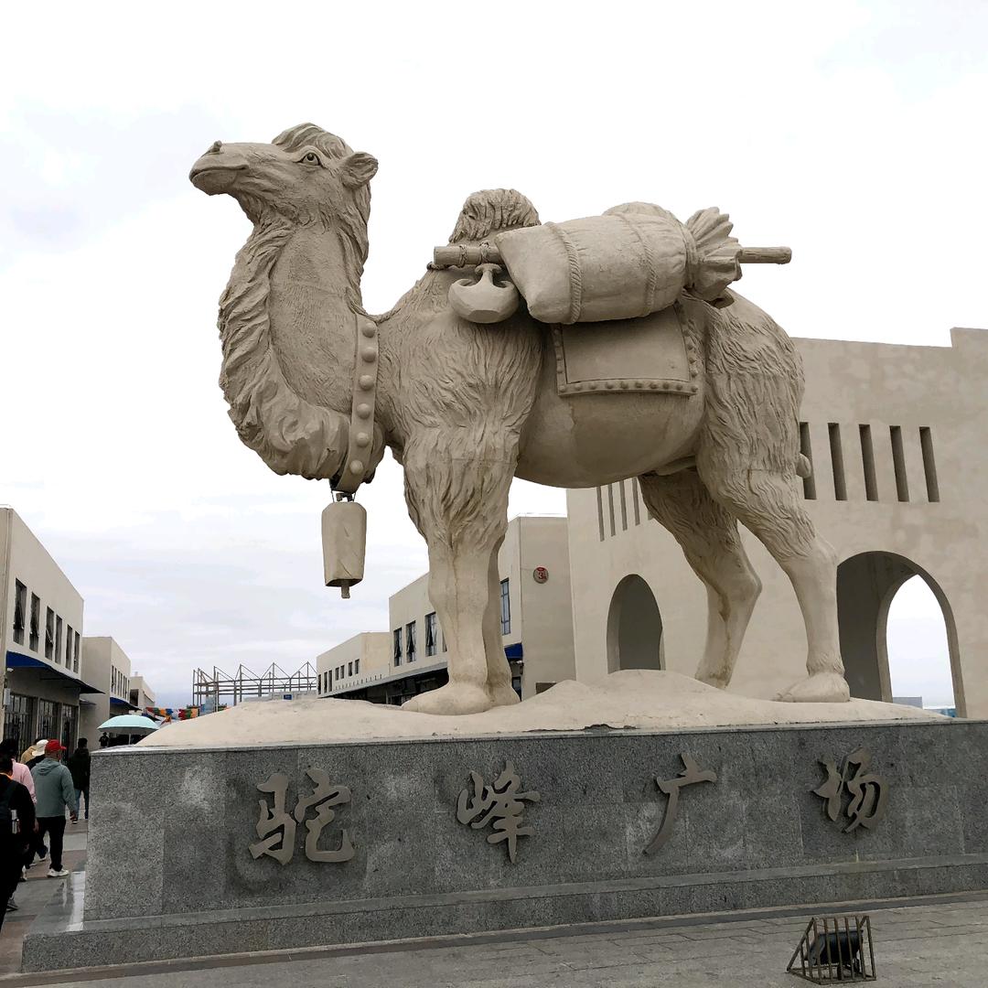 手机用户62501911448