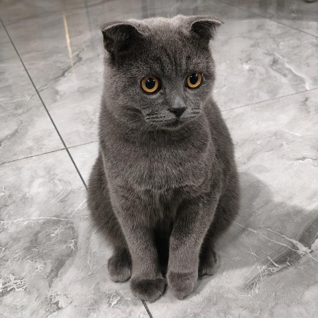 余ღ生爱自᭄᭄己💖💖꯭ღꦿ