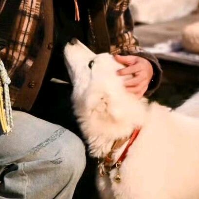 林锐那边别进了.（线下已见李昀锐）