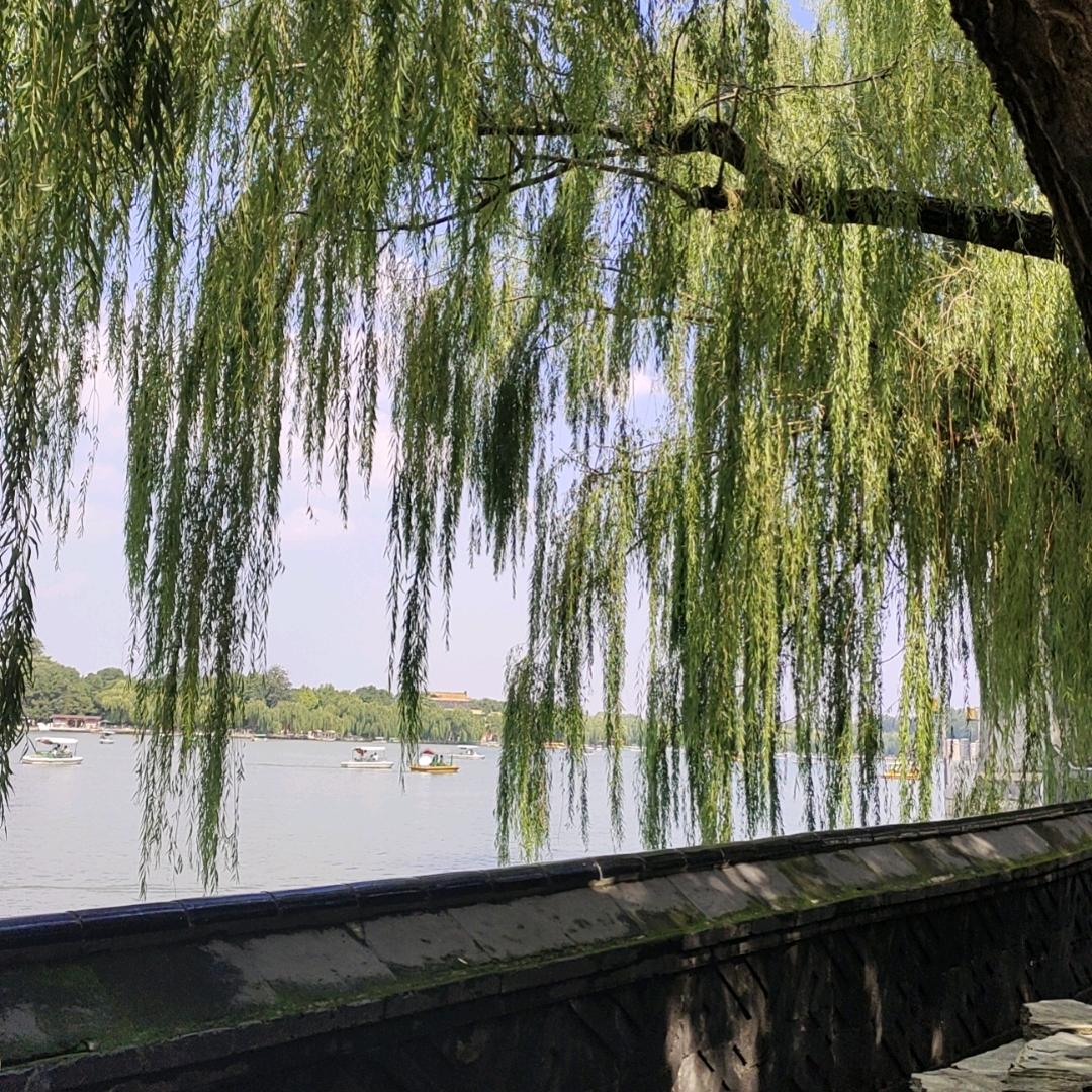 景姐