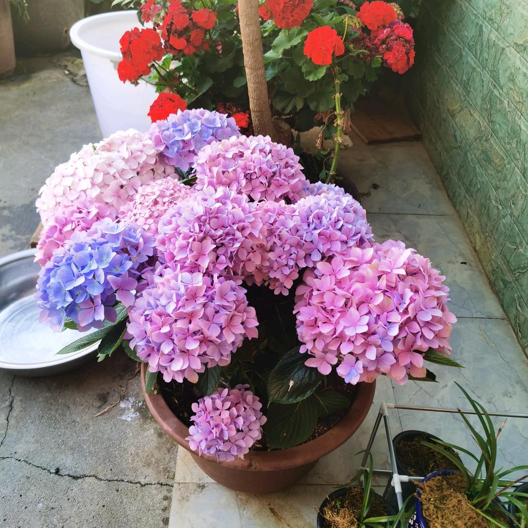 失眠之人那有梦